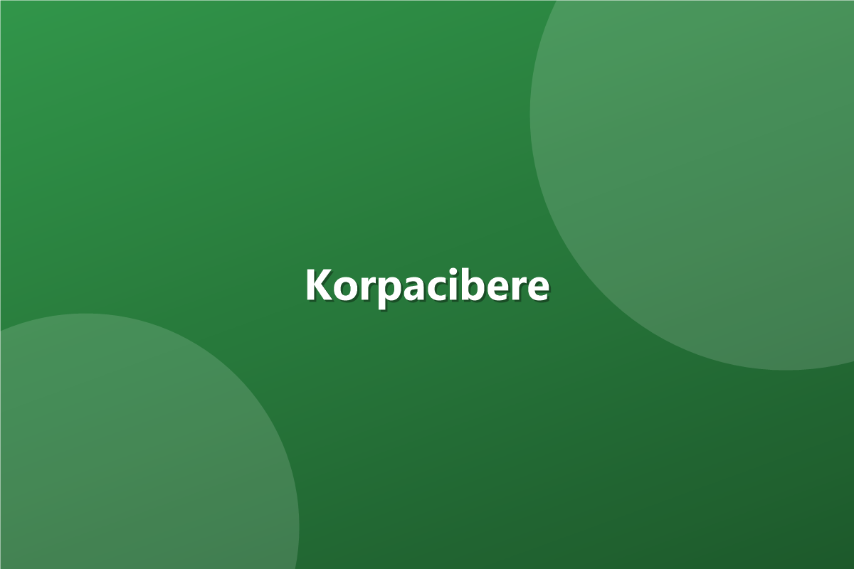 Korpacibere (savanyúleves)
